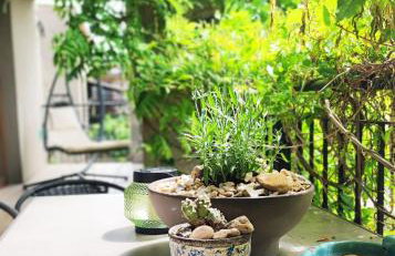 Alvar Apartament - Photo 15