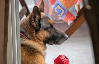 Athenian Oasis Near Athens Metro Mall - Foto 29