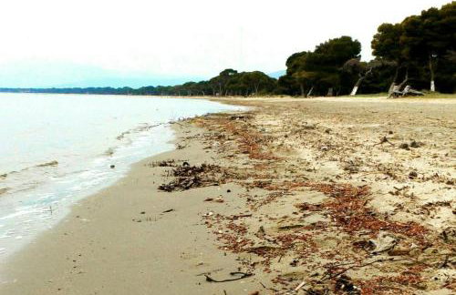 Belle Hélène - Foto 61