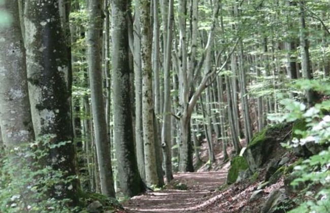 Haus Hiller Comfortable Holiday Residence - Photo 31