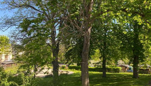 Domizil Eutschützblick - Foto 3, Garden