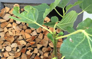 Holiday Home Vuko - Foto 50