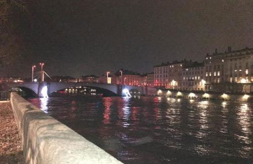 Les Allées de Bellecour - Photo 25