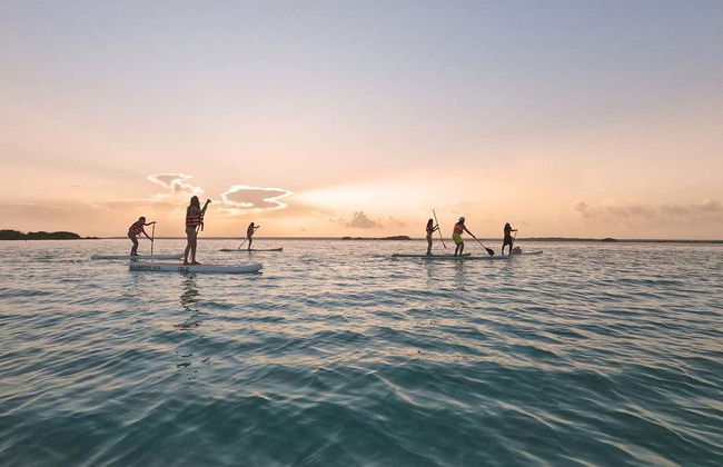 Sunrise Paddle Surfing in Bacalar Lagoon - Photo 6