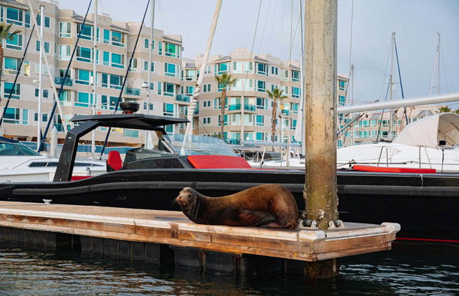 Balade en bateau électrique à Marina del Rey - Photo 6