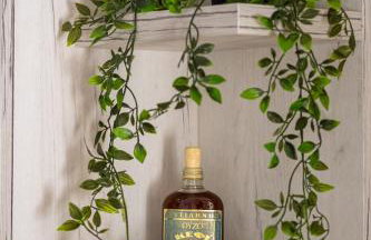 Central, Calm with Courtyard - Foto 46