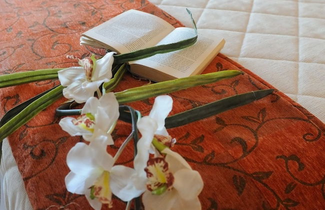 Vineland Holiday Villas - Foto 8