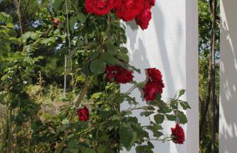 Apartment Verunic 8104a - Foto 11