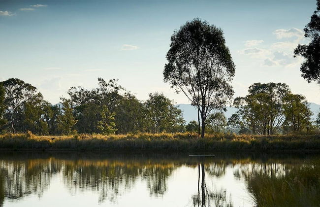 Wandin Valley Estate - Photo 35
