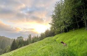 Atelier-Loft im Hübschental - Foto 33