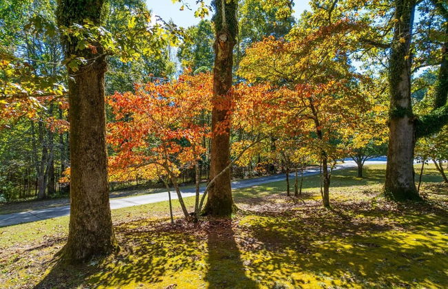 Grand Retreat Luxury Vacation for Large Groups - Foto 73