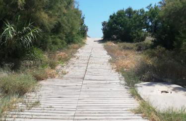 Gran Terraza cerca del mar. - Photo 39