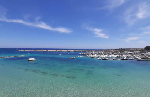 Azienda Agrituristica B&B La Torre - Photo 42