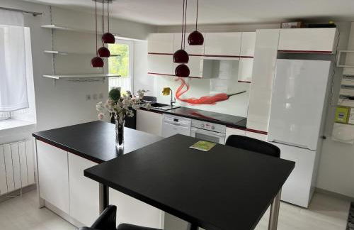 2P 50 m2 - Spacieux, Équipé, Moderne, A la montagne - Photo 18