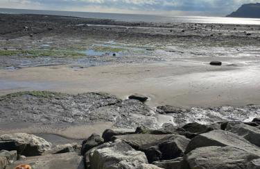 The Cabin at Shambala- now with sauna available to book! - Foto 22