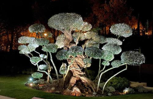 Villa Qalaisie - Luxury Villa for 16 on Terre Blanche Golf Estate - Foto 33