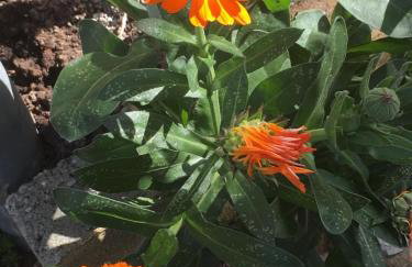 Apartments Petra - Photo 76