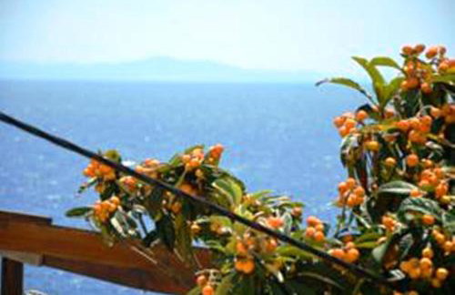 Apartments Punta Milna - Photo 14