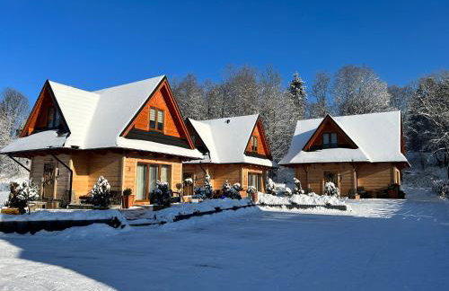 Żabie Dworki Witów Luxury Chalets & SPA - Foto 39
