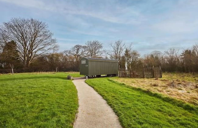 Host Stay Cwch Gwenyn - Photo 17