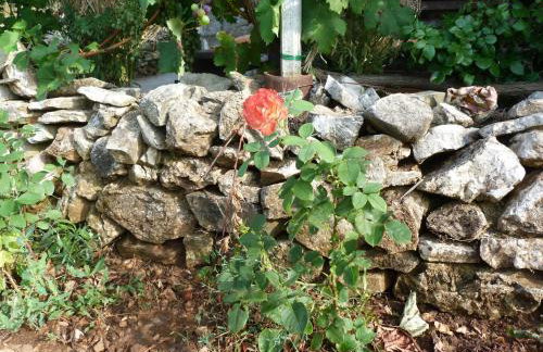 Country House Speedy - Foto 34