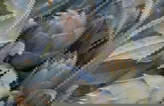 Ponte Calatrasi Agriturismo - Photo 64