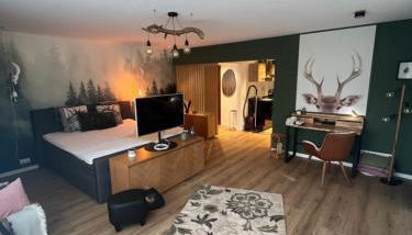 City Apartment Baden-Baden - Foto 5