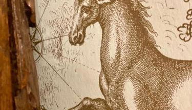 Manoir des Pavements - Photo 4