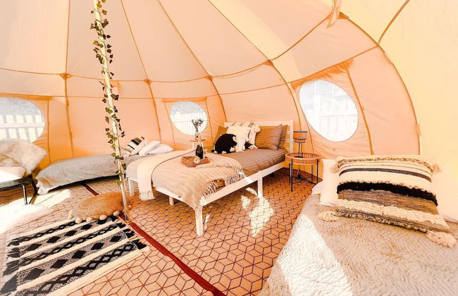 Erw Glas Glamping and Camping - Photo 22