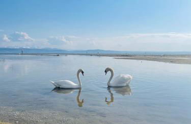 " Sunshine am See " - Foto 1