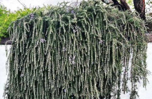 Holibai, Vila Panxon, Diseño, Elegancia Y Confort Cerca Del Mar - Foto 22