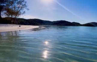 Flamboyant - Foto 12