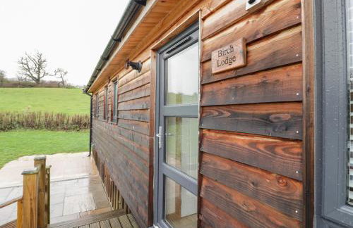 Birch Lodge - Foto 16