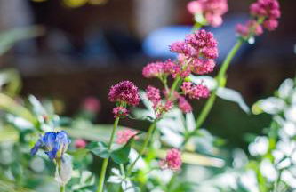 Maison du bonheur 10pers Piscine Privee et Chauffee - Foto 15