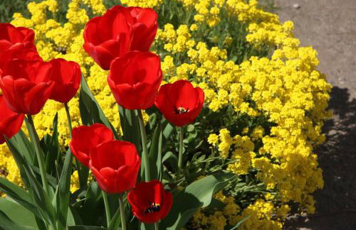 Moltke-Villa - Foto 20