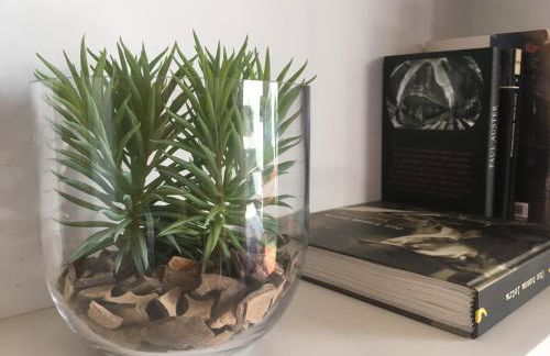 Apartamento El Robledal - Foto 7