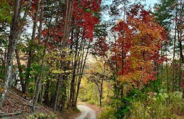 Harmony House - cozy, private mountain home, with firepit and pool table, located 10 minutes from Tryon Equestrian Center, Lake Lure, Local Wineries, and wedding venues - Foto 26