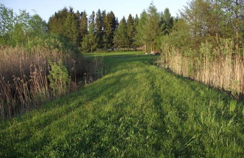 Apartament ALINA - Foto 15