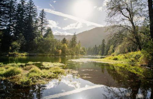 Maple Haven Cabin - Foto 18