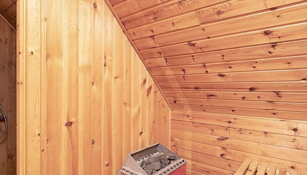 6 Person Holiday Home in Ulfborg - Foto 2, Sauna