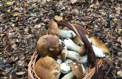 Ferienwohnung Anna Swinemünde Rycerska - Foto 25