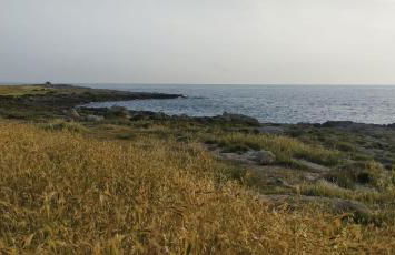 La casa di Ge e Fra - Foto 16