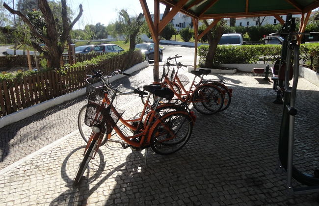 Pedras d'el Rei - Foto 51