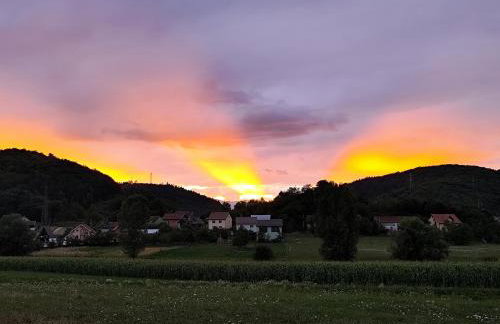 Apartman Mali raj - Foto 69