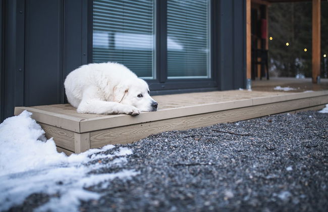 Stare Sady Kopytówka - Photo 50