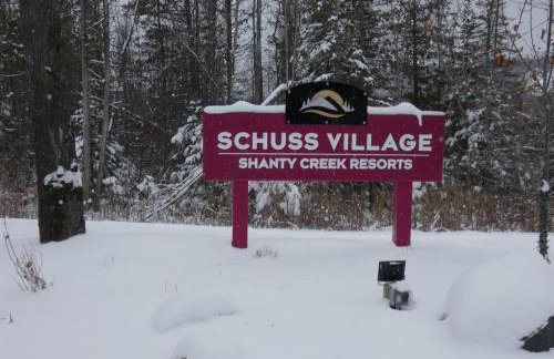 Greenside at Schuss Mountain - Foto 27