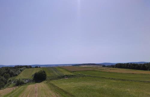 Agroturystyka Zdolina - Foto 50