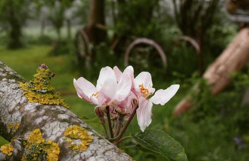 Reetdachkaten in Schuby, Ostsee - Foto 15