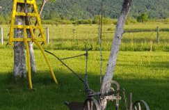 Propolis house - Foto 30