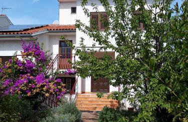 House Silvana - apartment with garden view - Photo 1